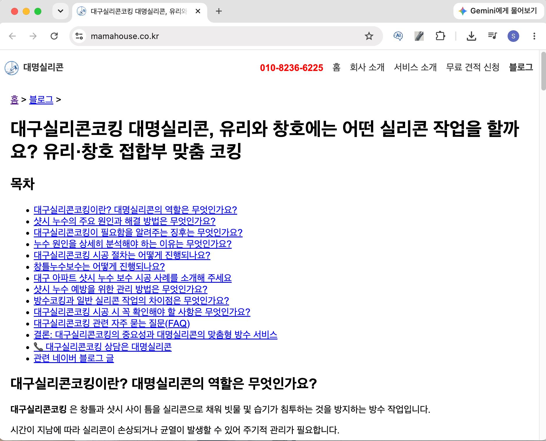 대명실리콘 웹블로그 검색 노출 이미지 1